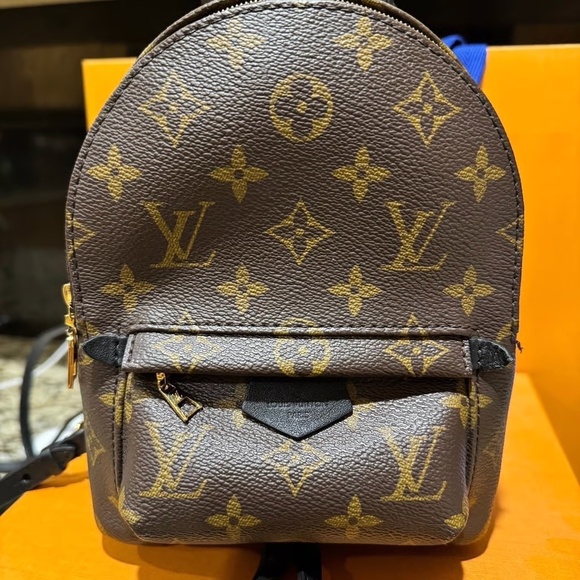 Louis Vuitton Palm Springs mini - Picture 3 of 12